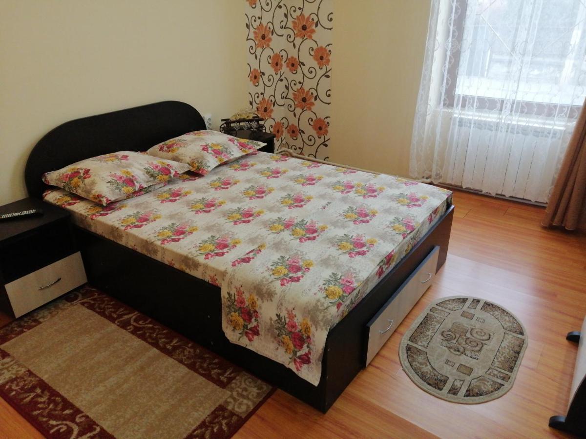 Casa Ovi Si Simo 호텔 Haţeg 외부 사진