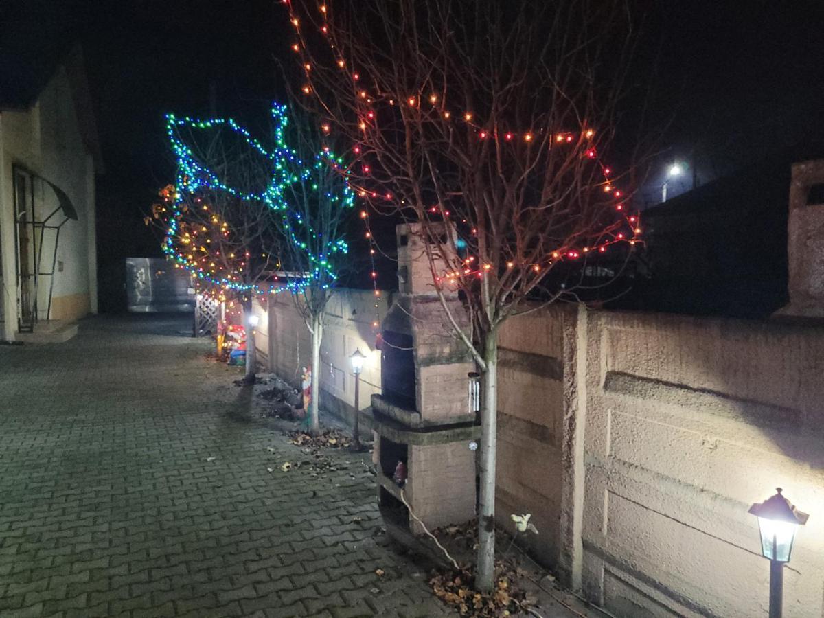 Casa Ovi Si Simo 호텔 Haţeg 외부 사진