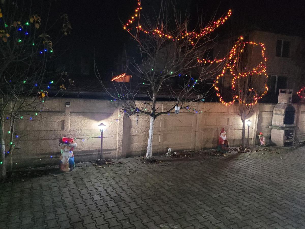 Casa Ovi Si Simo 호텔 Haţeg 외부 사진