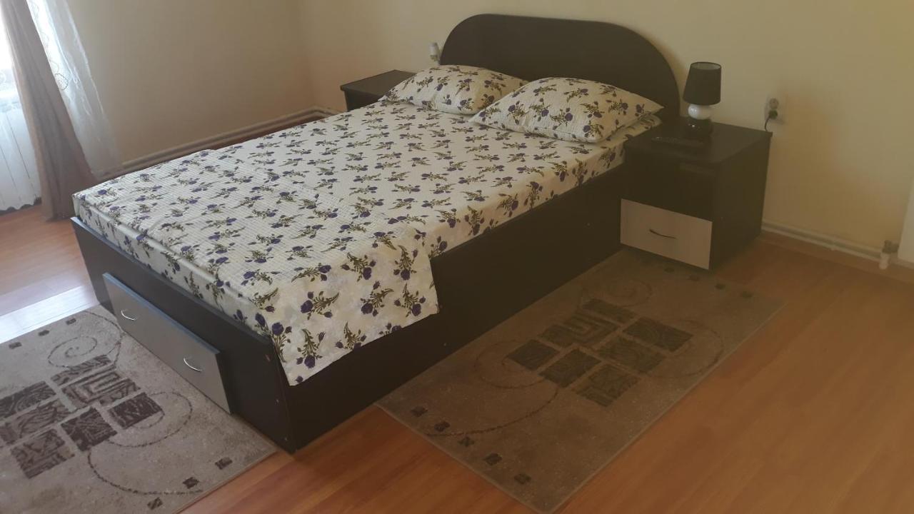 Casa Ovi Si Simo 호텔 Haţeg 외부 사진