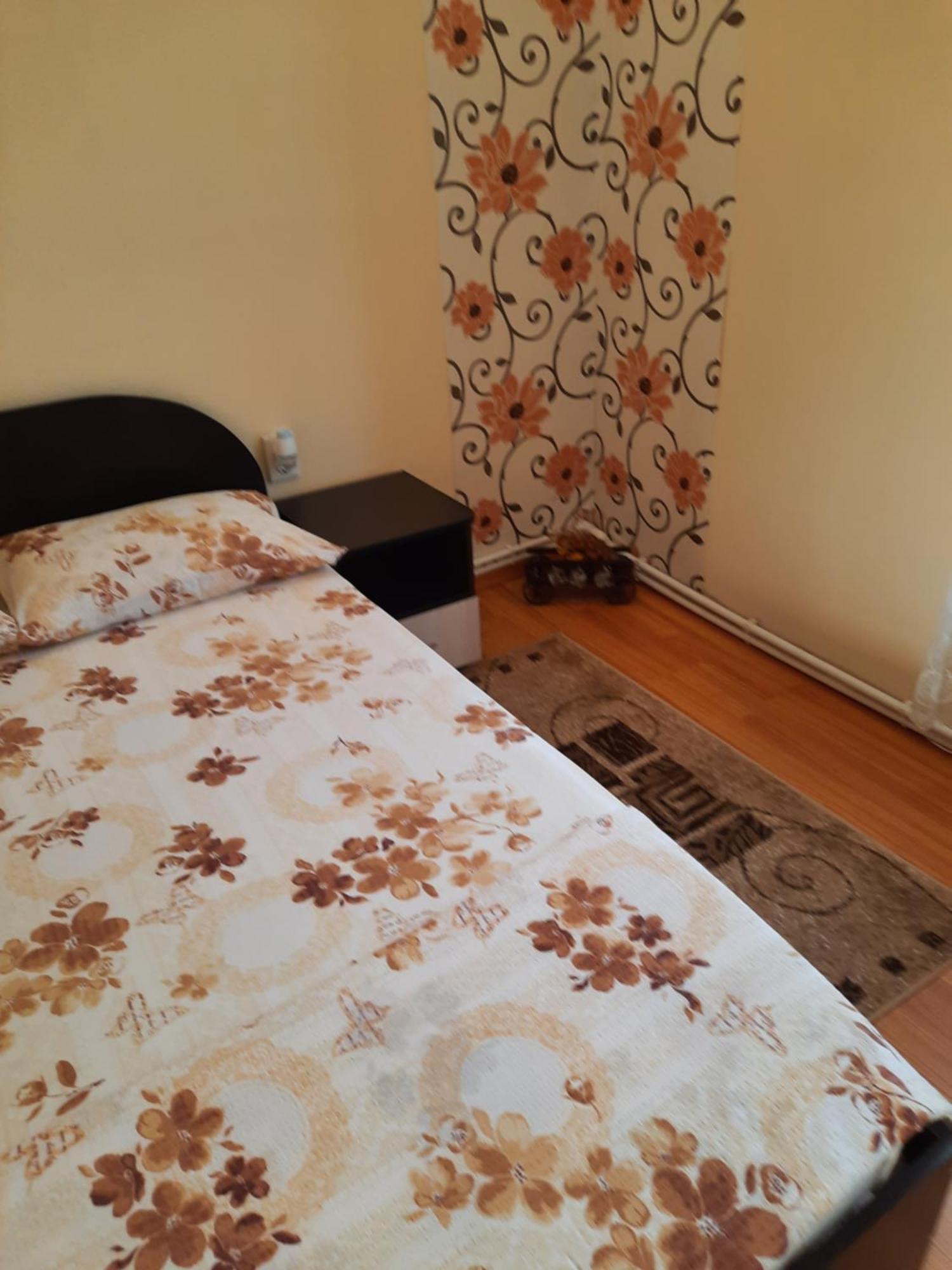 Casa Ovi Si Simo 호텔 Haţeg 객실 사진