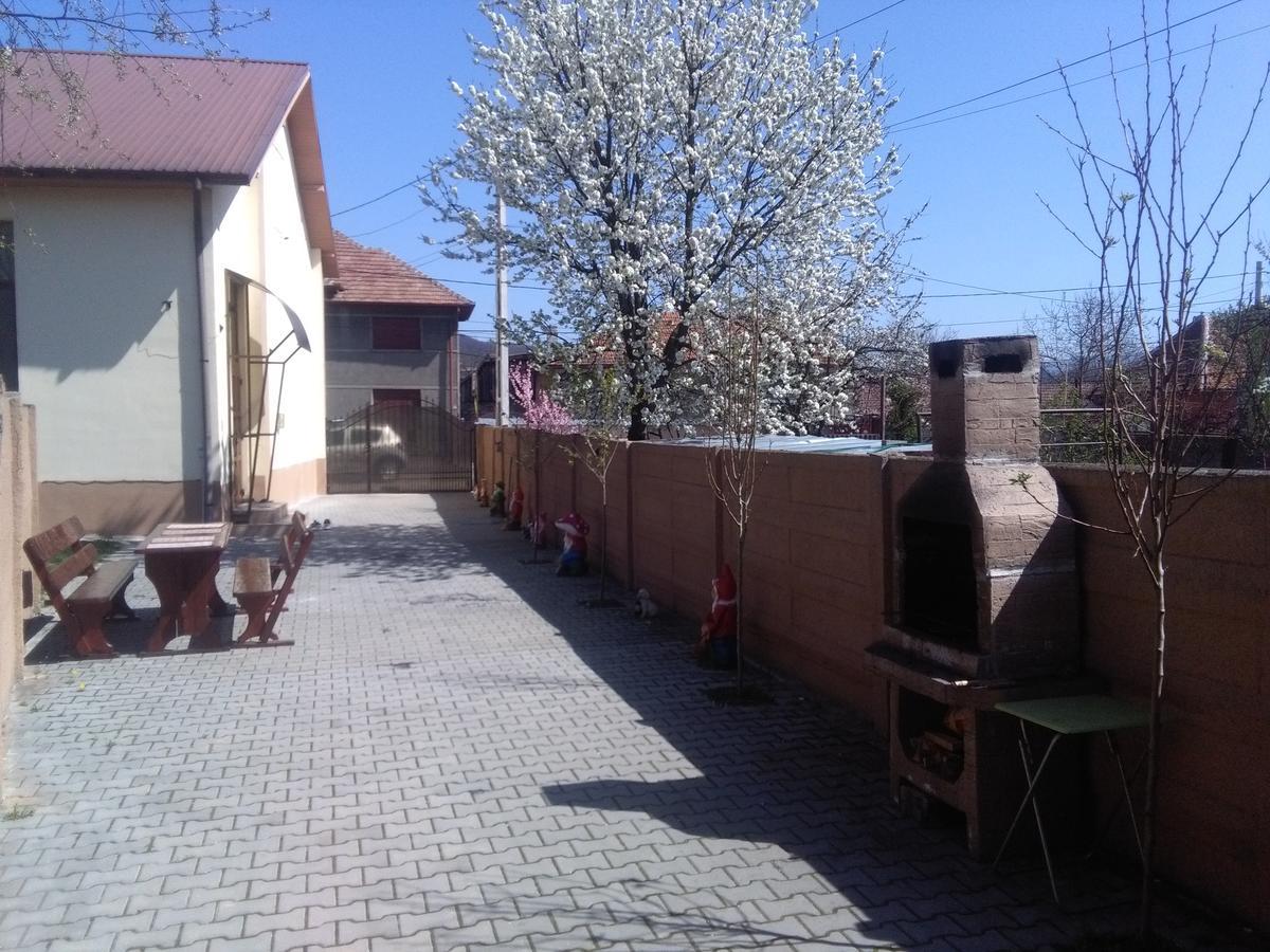 Casa Ovi Si Simo 호텔 Haţeg 외부 사진