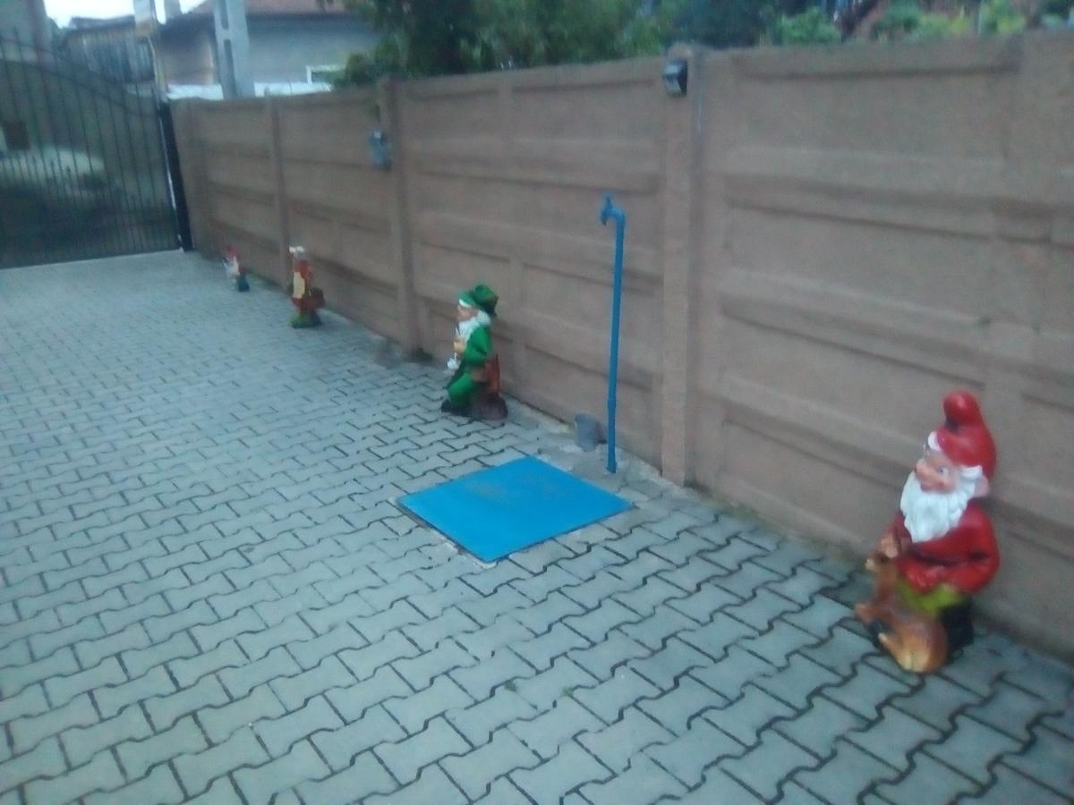 Casa Ovi Si Simo 호텔 Haţeg 외부 사진
