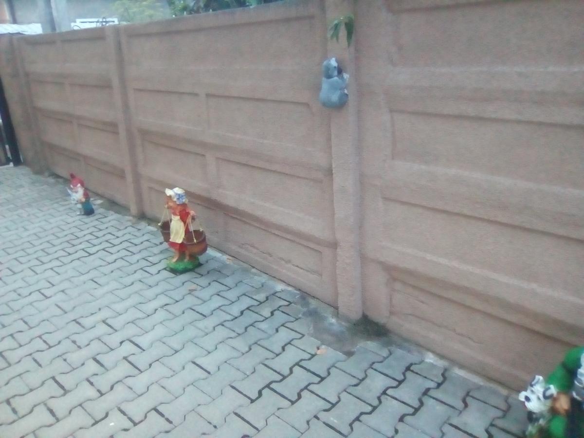 Casa Ovi Si Simo 호텔 Haţeg 외부 사진