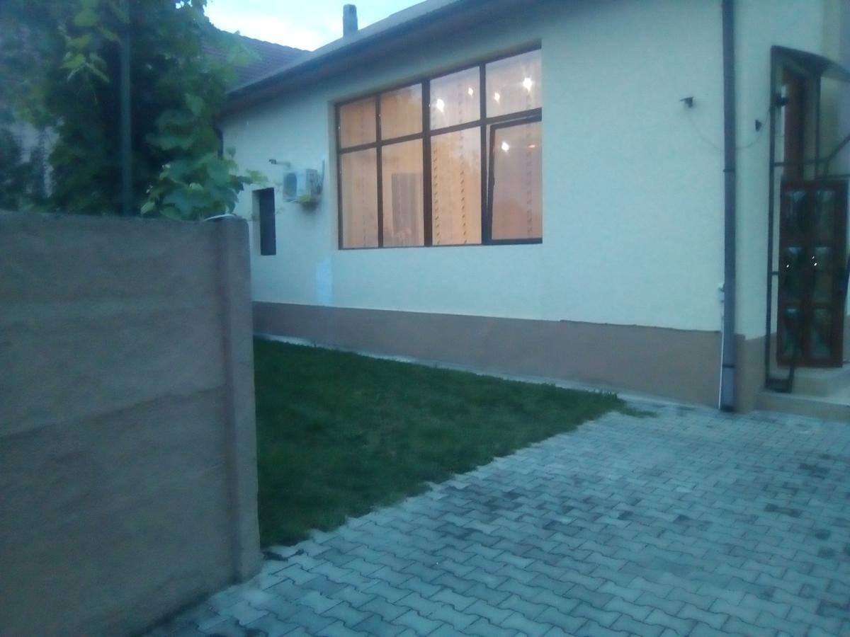 Casa Ovi Si Simo 호텔 Haţeg 외부 사진