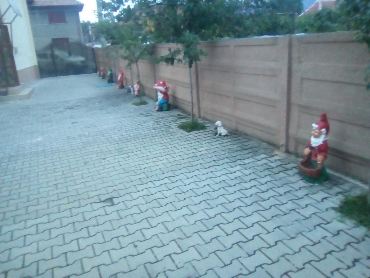 Casa Ovi Si Simo 호텔 Haţeg 외부 사진