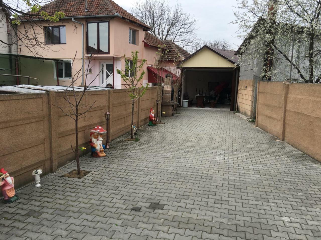 Casa Ovi Si Simo 호텔 Haţeg 외부 사진