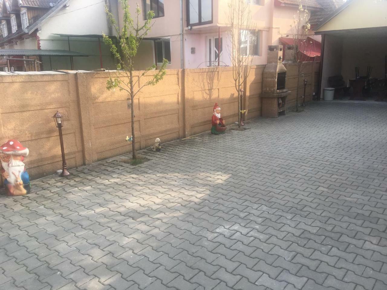 Casa Ovi Si Simo 호텔 Haţeg 외부 사진