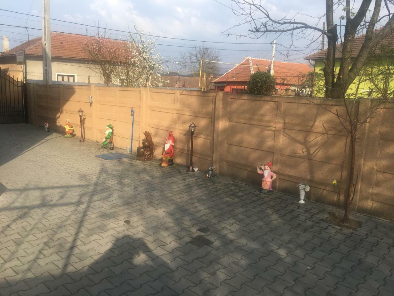 Casa Ovi Si Simo 호텔 Haţeg 외부 사진