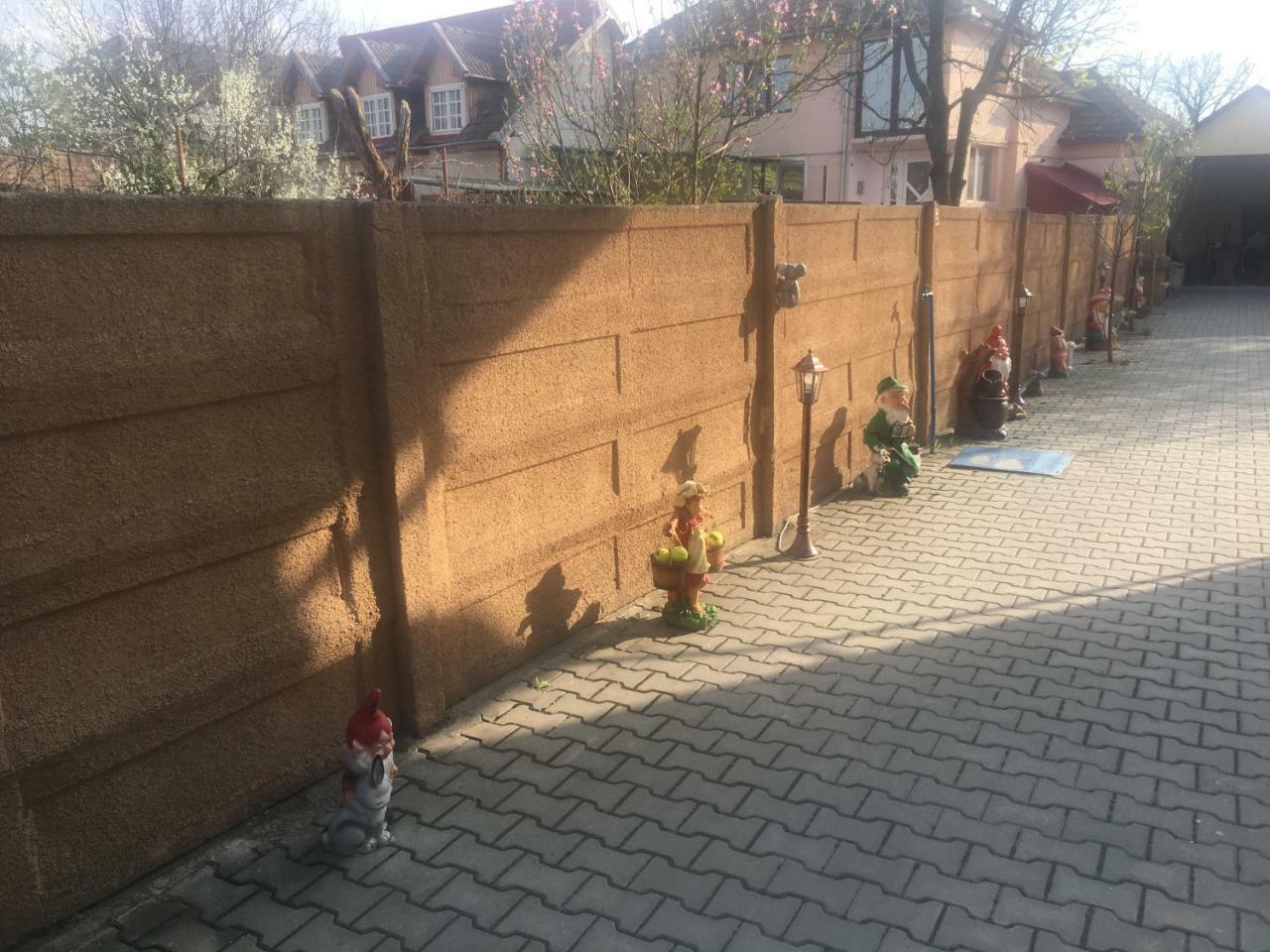 Casa Ovi Si Simo 호텔 Haţeg 외부 사진
